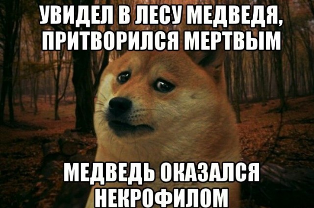 Самые распространённые заблуждения о том, что может вас убить