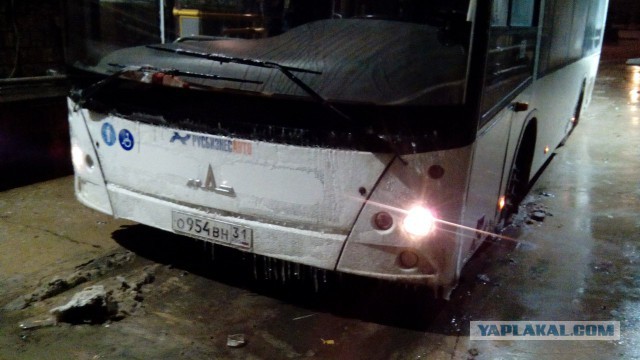 Автобусная авантюра от МАЗа, ставшая легендой