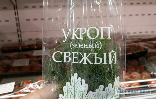 Дизайнер 80 уровня
