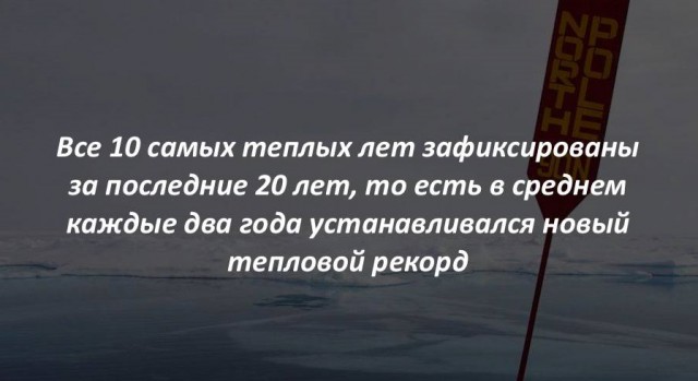 40 интересных фактов в картинках.