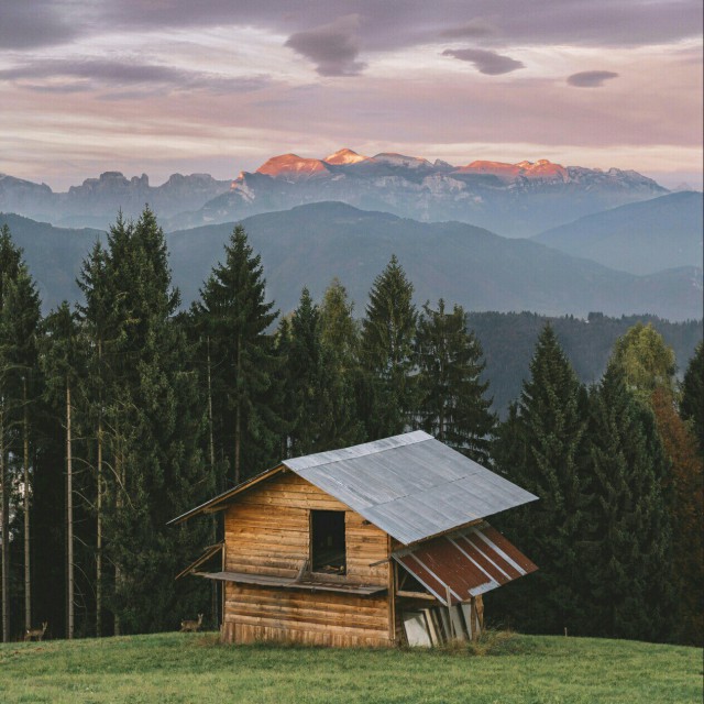 Моменты, запечатлённые на фото и просто позитив 5