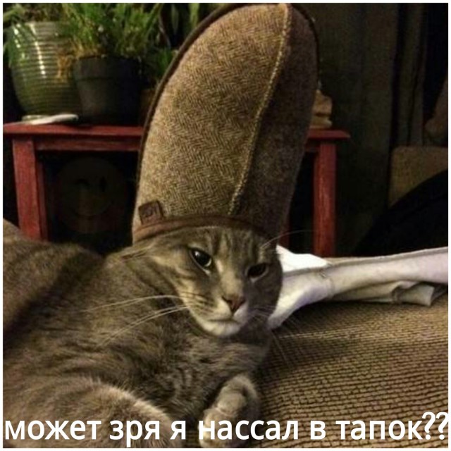 Подборка интересных и веселых картинок