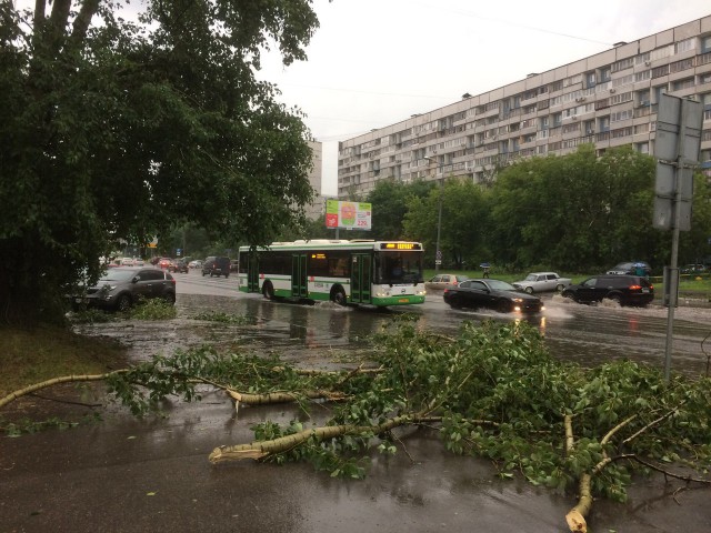 Готовьте ковчег: на Москву обрушится ливень как из Ветхого Завета