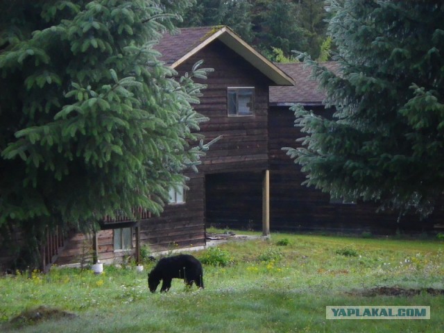 Канадский город-призрак застывший в 80-х