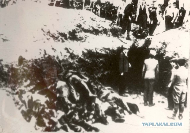В эстонских, европейских лагерях. 1941-44 г.