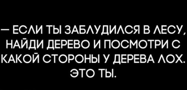 Гомеопатическая доза мерехлюндии