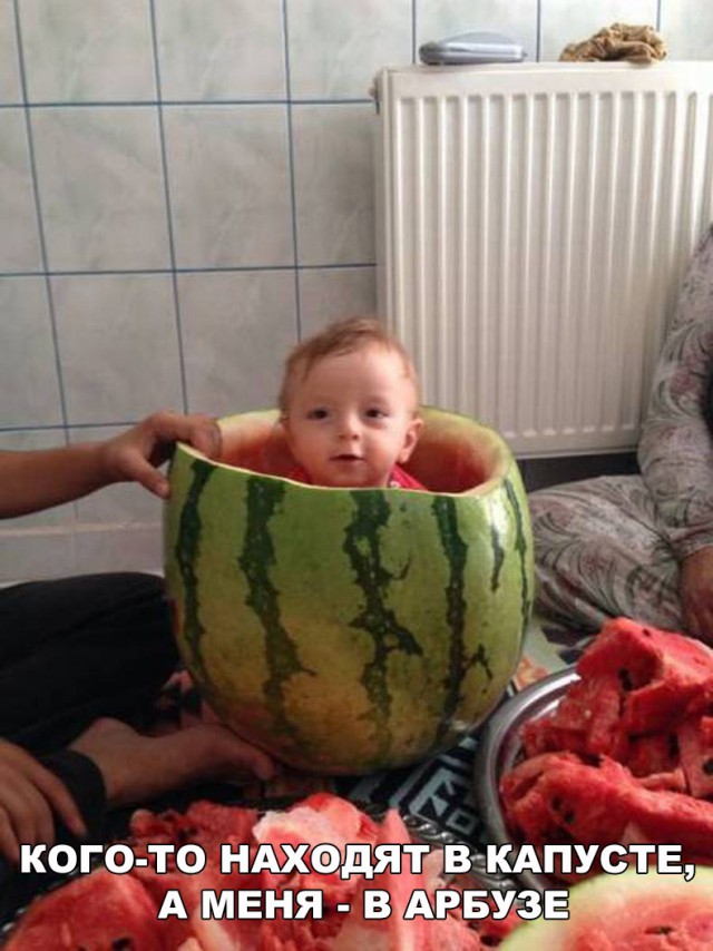 Прикольные картинки обо всём