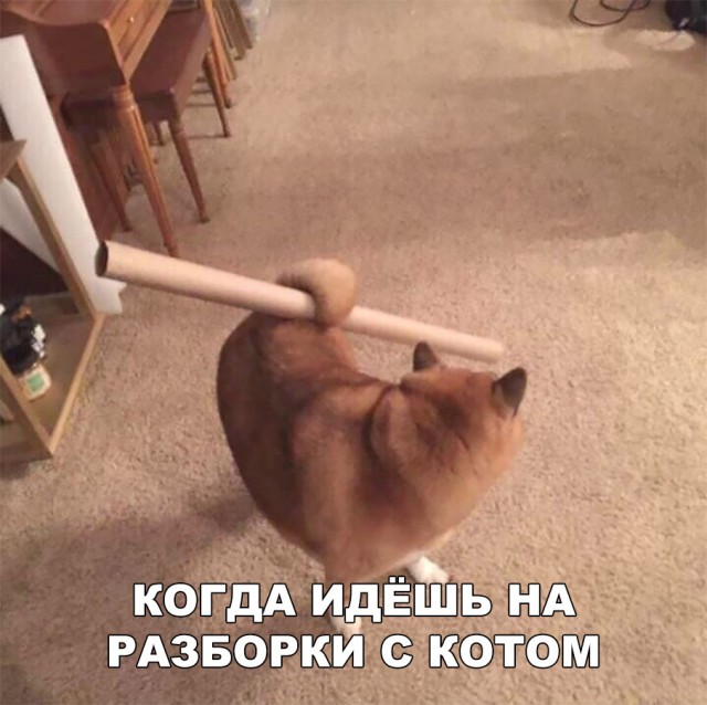 Нестандартный юмор