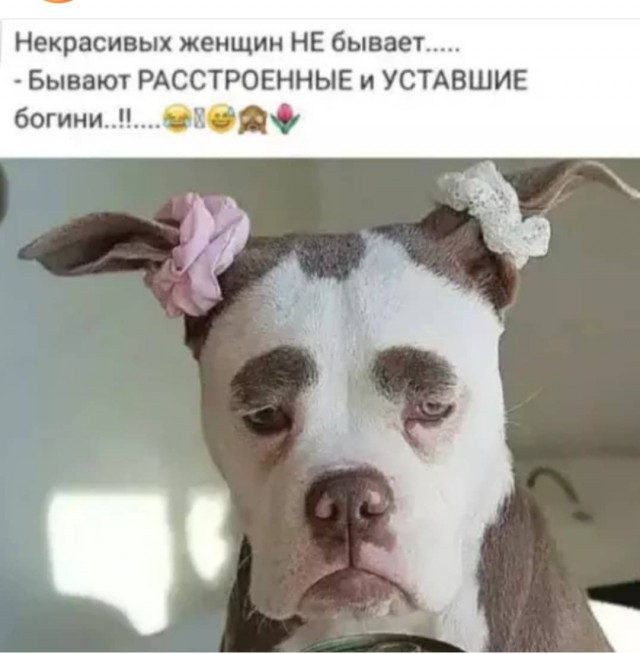 Немного картинок в этот понедельник