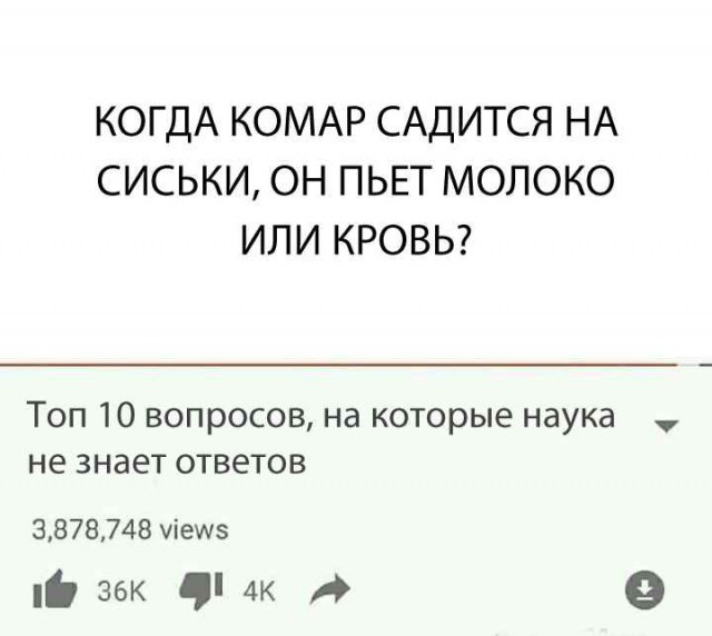 Немного картинок для настроения