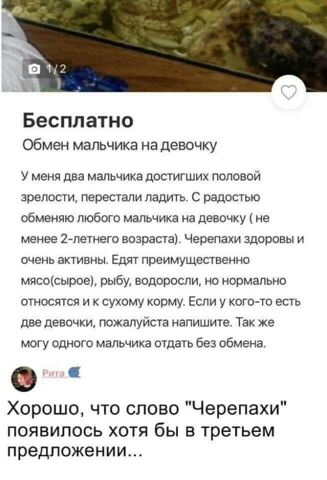 Пара-пара-пам! Фьють. Картинки с надписями и без 09.02.20