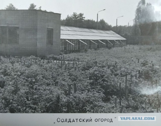 1985 – за год до трагедии