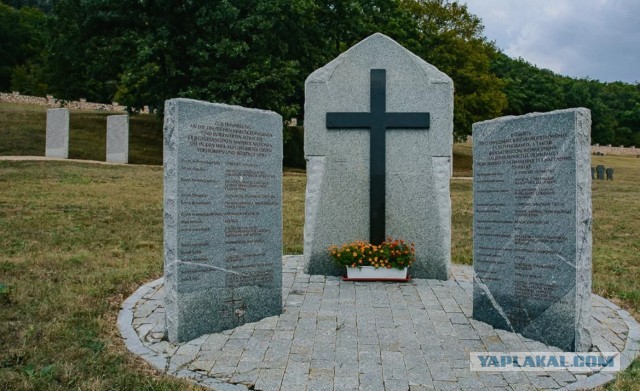 Вопрос о памятнике фашистам задал шестилетний житель Воронежской области