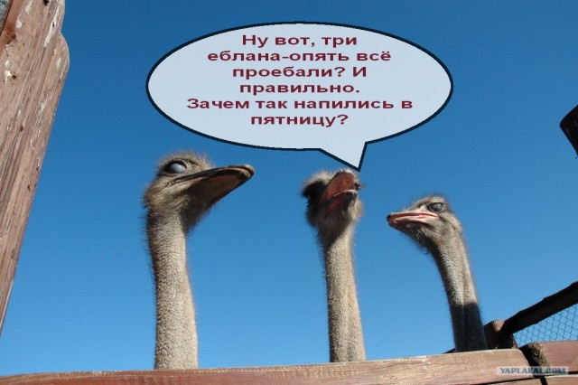 Фотожаба на пятницу