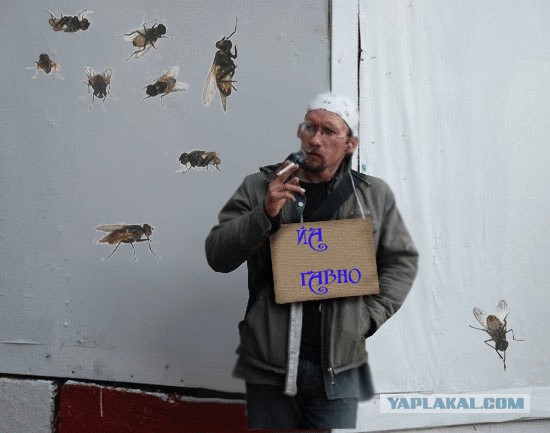 Помогите на бухло
