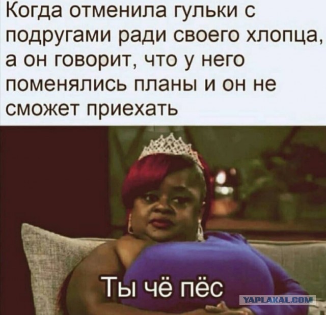 Картинки из рабочего чата 24.10