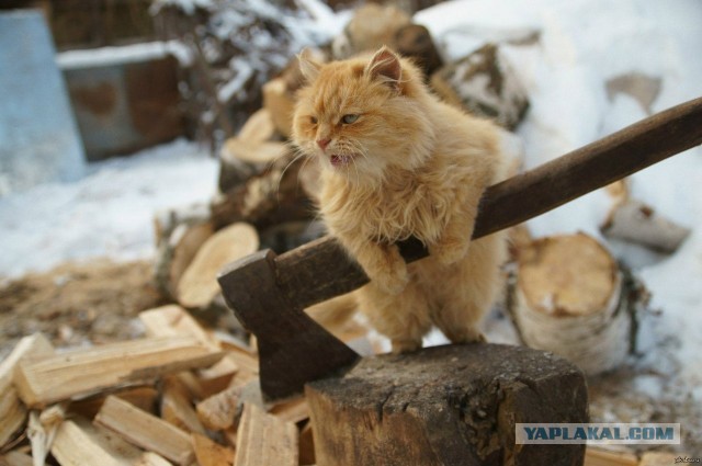 Теряя свою веру