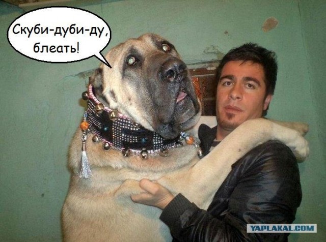 Фотожаба: Товарищи