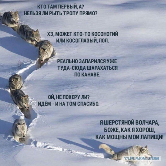 Немного практической магии