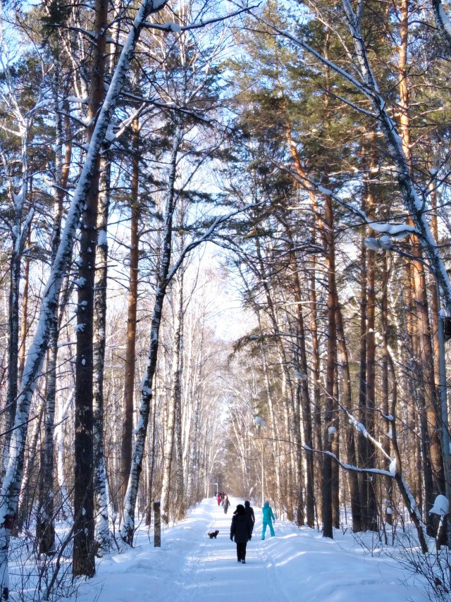Похмельное утро