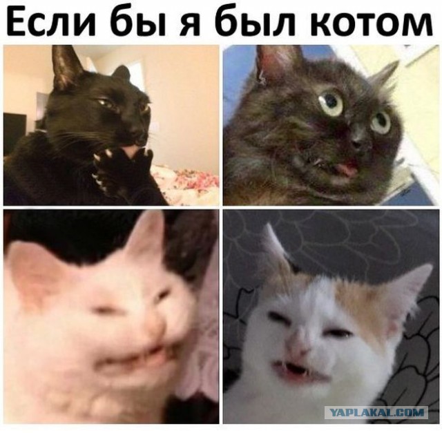 Запросы женщин за 30 или таких сказочных дядей просто не бывает