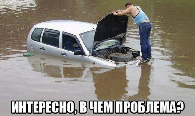 Картинки и мемы для настроения 01.06.2021