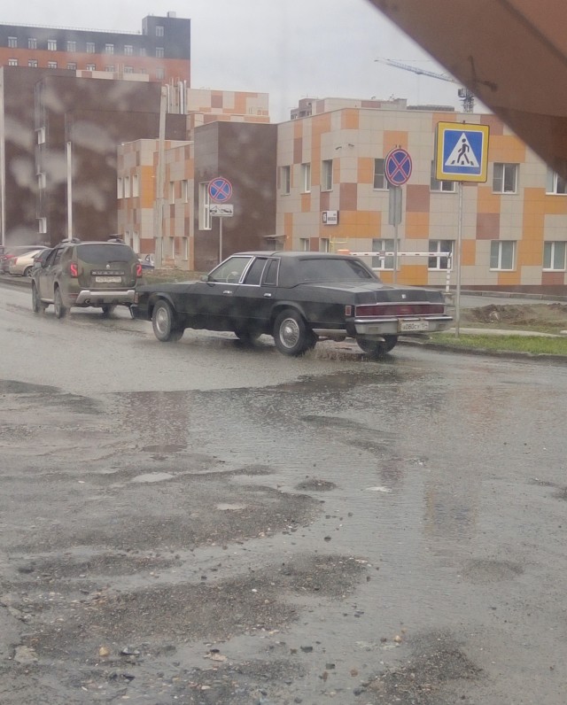 Последняя картинка в вашей Галерее/Загрузках