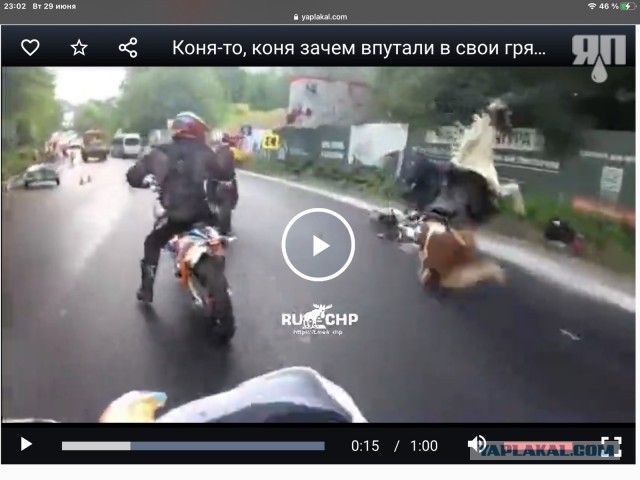 Коня-то, коня зачем впутали в свои грязные игры?