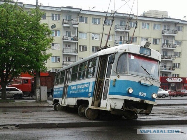 Что бы вы сделали в этой ситуации?
