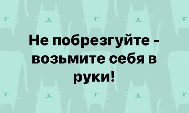 Птички-невелички, налетай