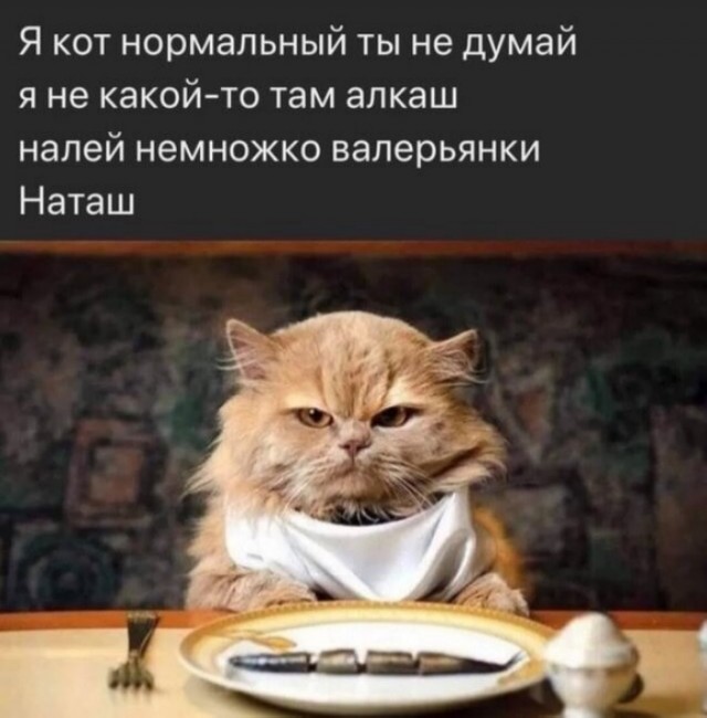Подборка прикольных картинок