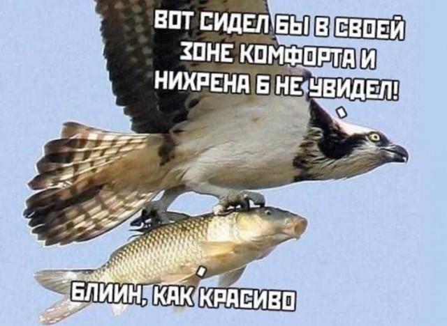Еле вылез