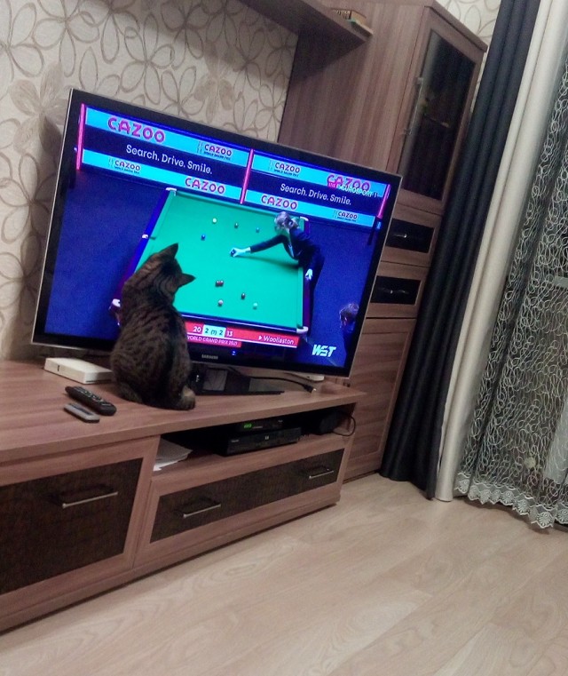 Ну, понеслась!
