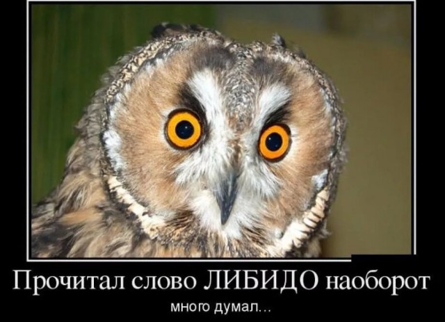 Он нашёл её