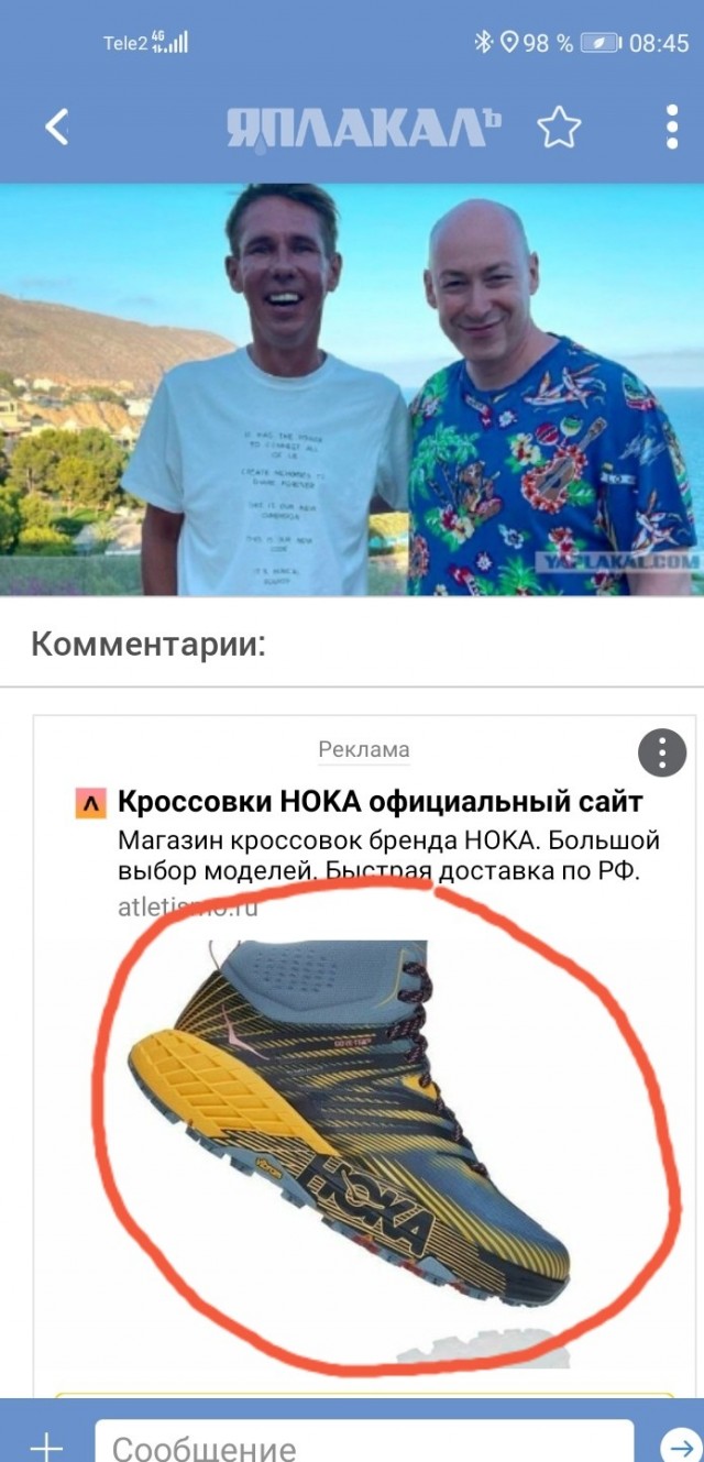 Сучки Панина