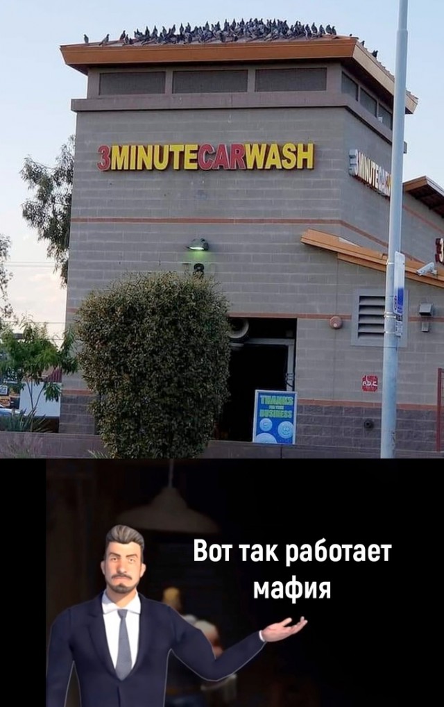 Так себе картинки 25.07.22
