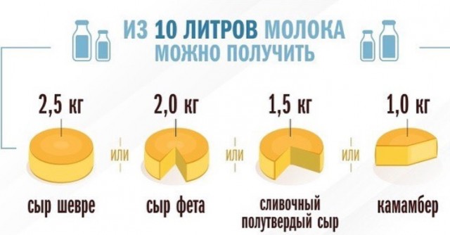 Организатор фестиваля «Сыр! Пир! Мир!» ответил Нидерландам на требование изменить название сыров