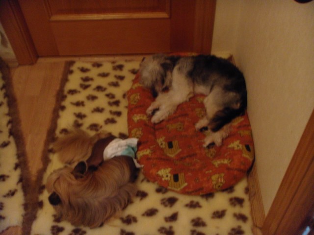 Что мне делать?Новосибирск-помогите.