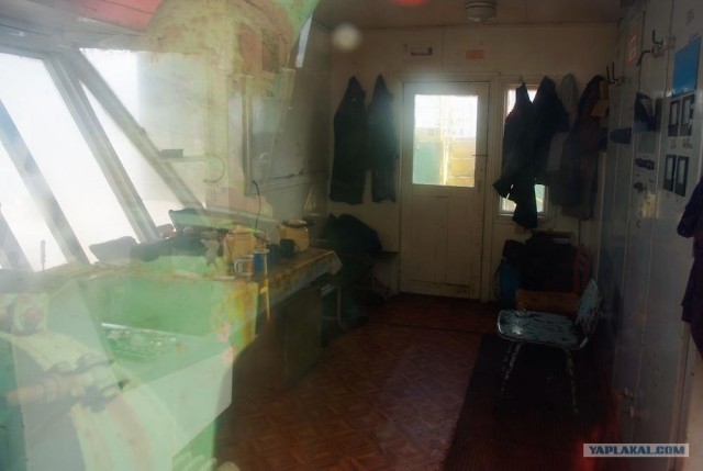 Вот в чем вся соль!