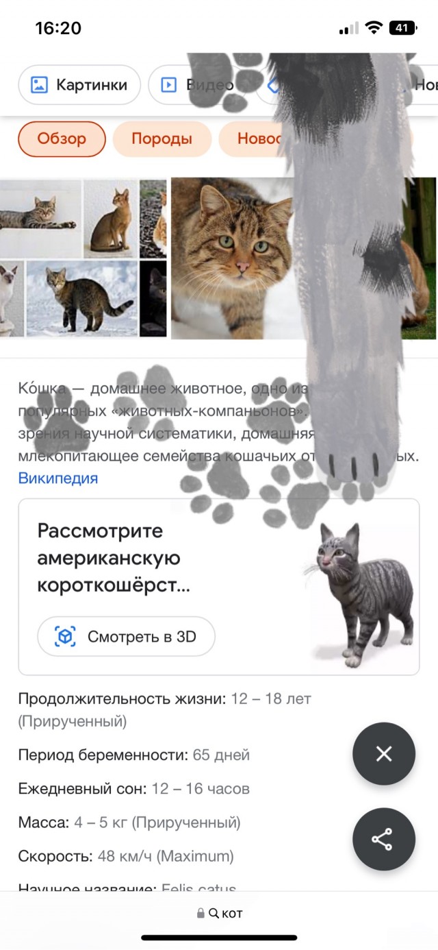 Пасхалка из Google