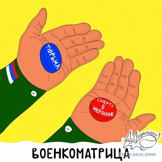 Мобилизованные получили выплаты. Самое большое вознаграждение — 1081 рубль