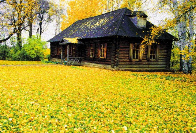 Прикольные и просто красивые картинки 25.10.2022