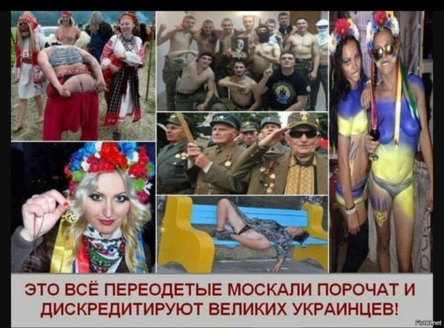 В Магнитогорске синебот обосрал весь лифт...