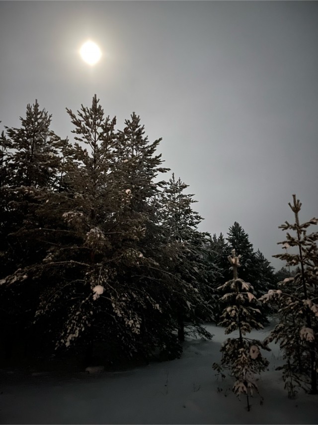 Одно зимнее фото