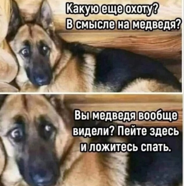 Меркантильные женщины
