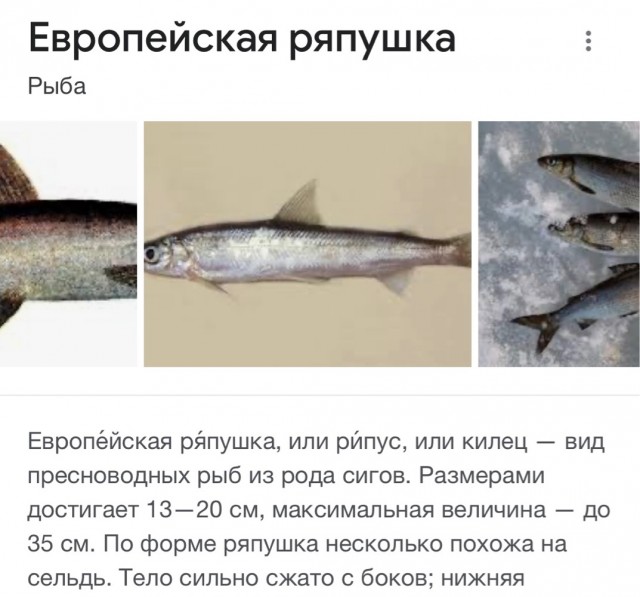 Кулинарный неформат