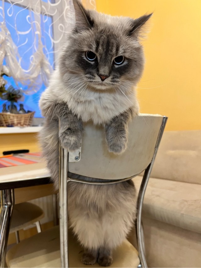 Вторник, да?