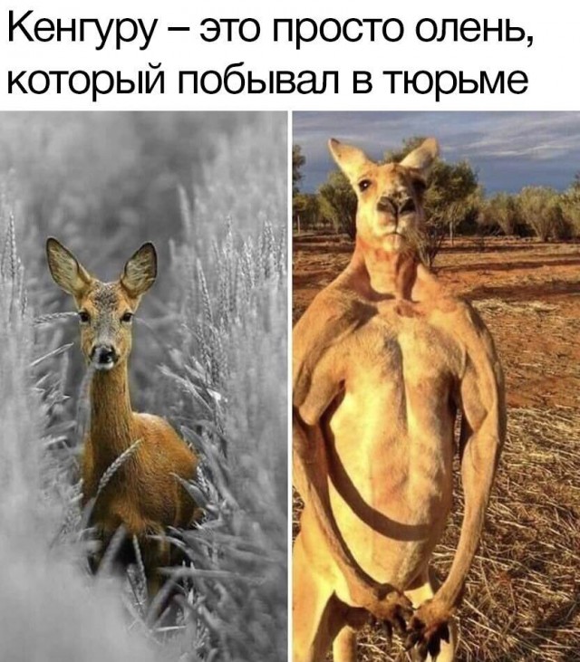 Картинки про всякое