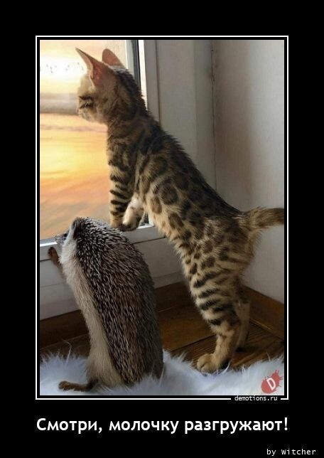 Картинки с надписями 31.03.23