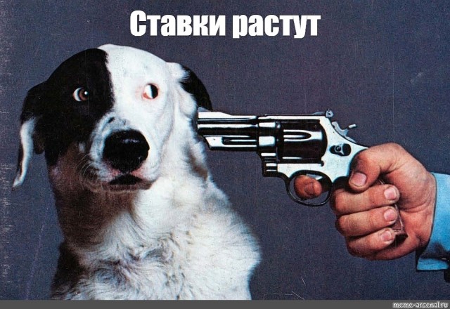 Задержана экс-замминистра культуры Ольга Ярилова.